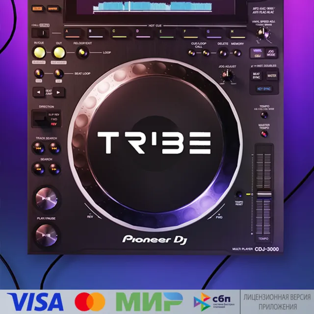 🔥 Tribe XR | DJ in VR для Pico VR