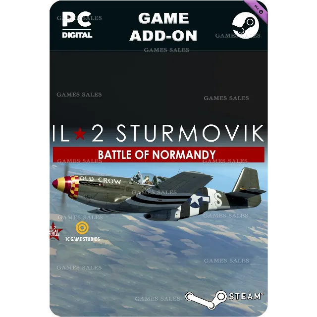 ✅💙ИЛ-2 ШТУРМОВИК: БИТВА ЗА НОРМАНДИЮ💙STEAM GIFT🤖АВТО