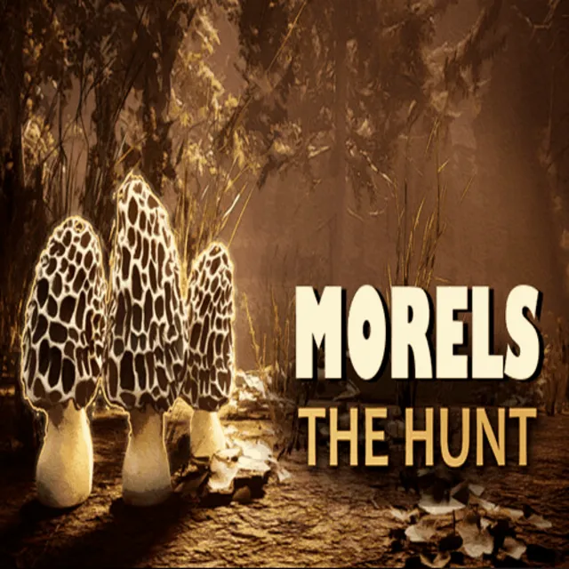 ⚫️Morels: The Hunt 2 | ПК Epic Games EGS