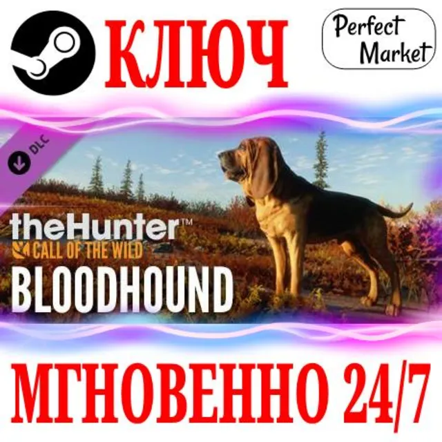 🍀theHunter: Call of the Wild Bloodhound ⚫STEAM🔑КЛЮЧ