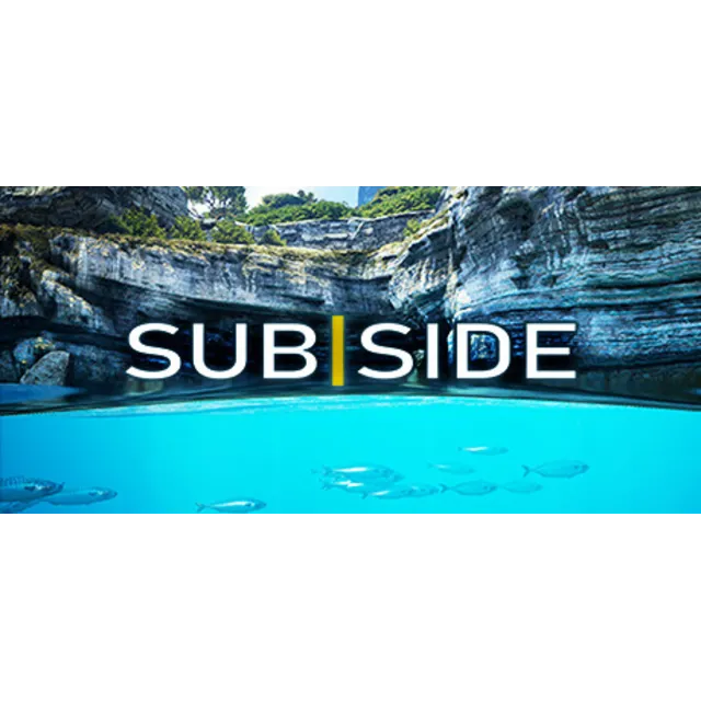 Subside 💎 АВТОДОСТАВКА STEAM GLOBAL МГНОВЕННО ЛИЦЕНЗИЯ