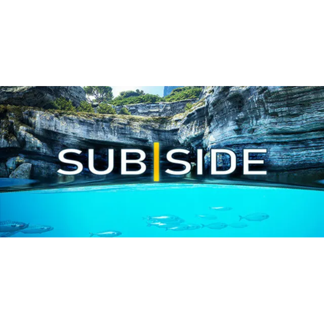 Subside * STEAM РОССИЯ ⚡ АВТОДОСТАВКА 💳0% КАРТЫ