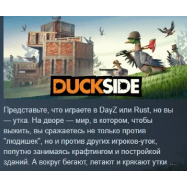 DUCKSIDE АВТОДОСТАВКА STEAM GLOBAL МГНОВЕННО ЛИЦЕНЗИЯ