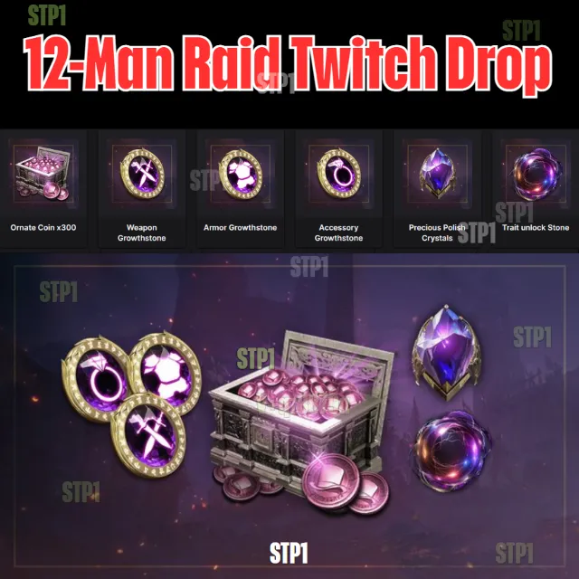 Throne and Liberty 6 items🎁12-Man Raid Twitch Drop