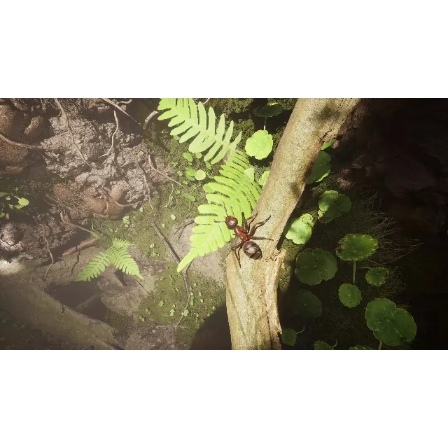 ❗EMPIRE OF THE ANTS❗XBOX X|S🔑КЛЮЧ СРАЗУ❗