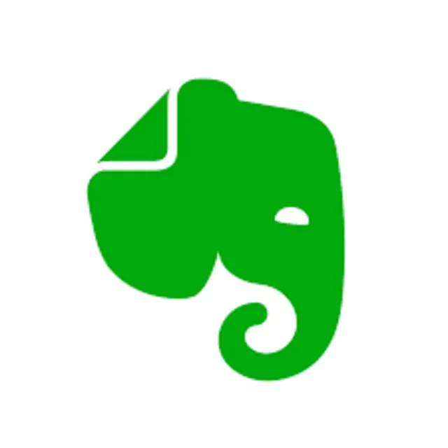 Evernote International Premium Профессиональный 1 год