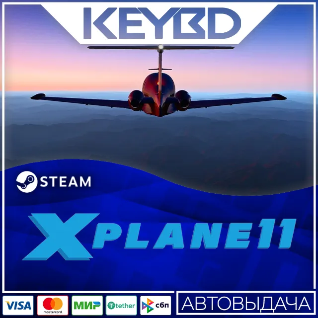 X-Plane 11 · Steam Gift🚀АВТОДОСТАВКА💳0%