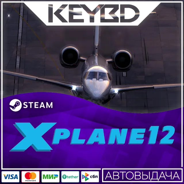 X-Plane 12 · Steam Gift🚀АВТОДОСТАВКА💳0%
