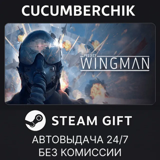 Project Wingman✅STEAM GIFT AUTO✅RU+МИР