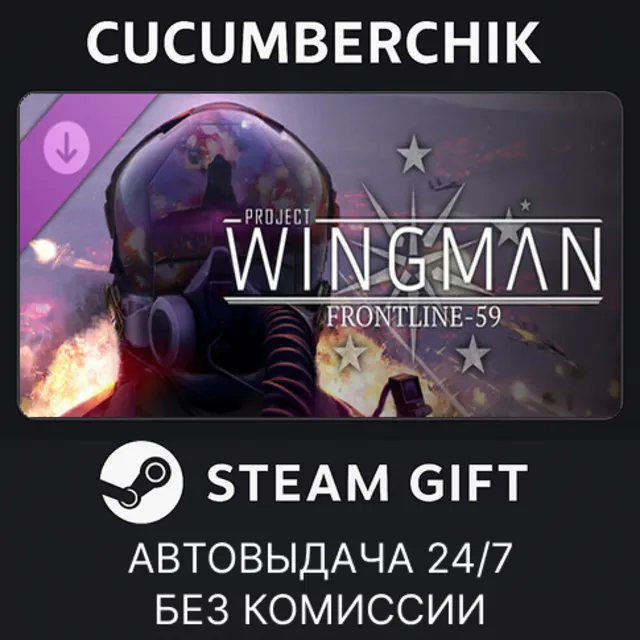 Project Wingman - Frontline 59 Campaign✅STEAM GIFT AUTO✅RU+МИР