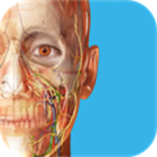 3D Dental Anatomy Human Anatomy Atlas ✅ Microsoft Store