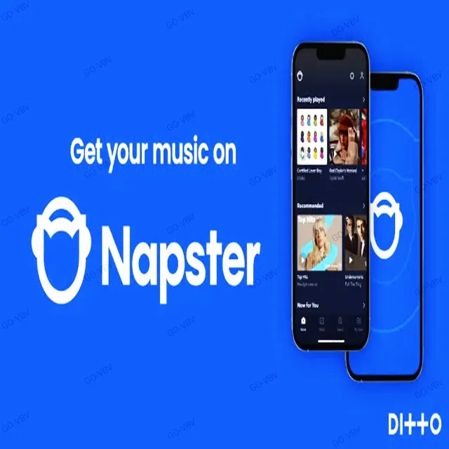 🔥Napster Premium 🔥Аккаунт🔥1 месяц🔥готовый