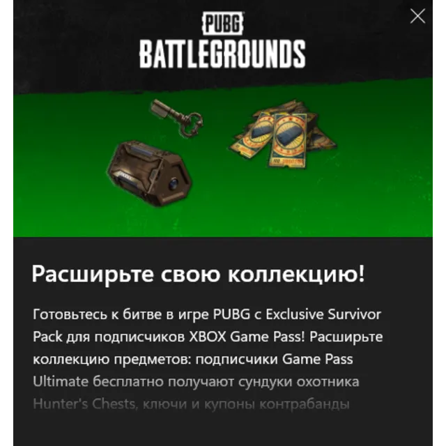 PUBG - 2024 Exclusive Survivor Pack #2