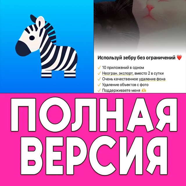 Zebra Блюр Эффекты для Фото PRO iPhone ios AppStore iPad
