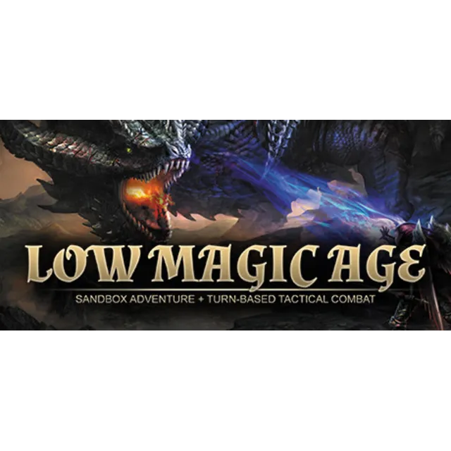 🔥Low Magic Age🔥🖤⚫(STEAM KEY/GLOBAL)⚫