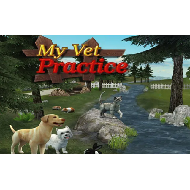 My Vet Practice (steam key)