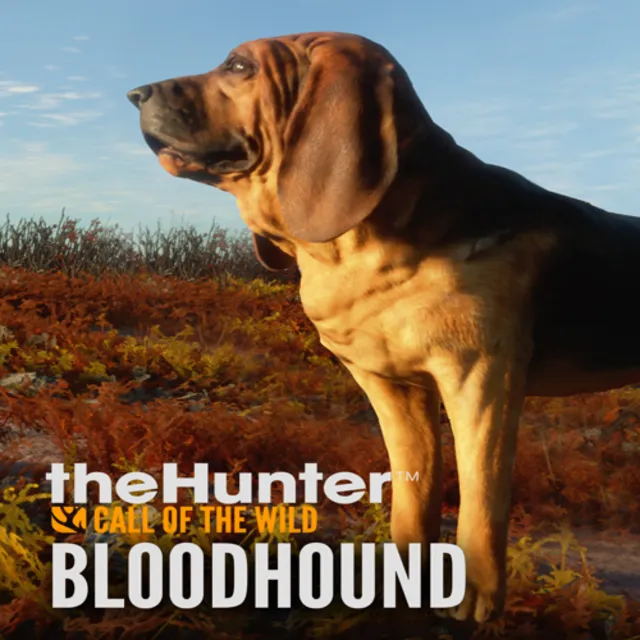 🔴 theHunter: Call of the Wild™ - Bloodhound ✅ EGS DLC 