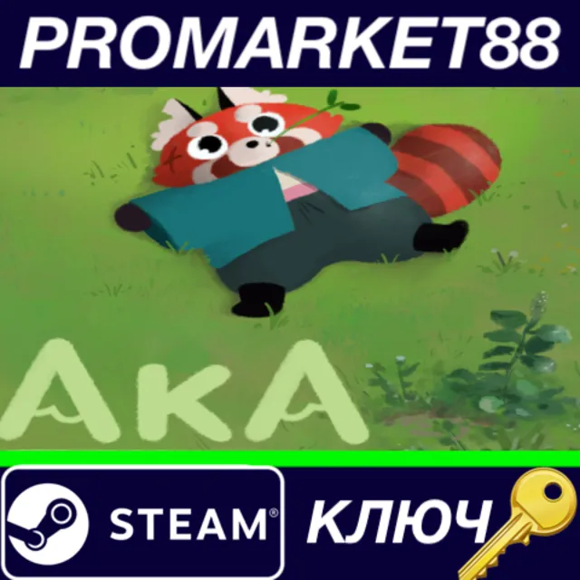 ⭐ Aka Steam КЛЮЧ 🔑 GLOBAL