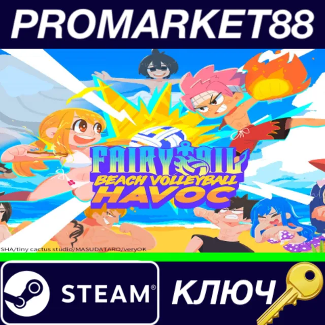 ⭐FAIRY TAIL: Beach Volleyball Havoc Steam КЛЮЧ 🔑GLOBAL