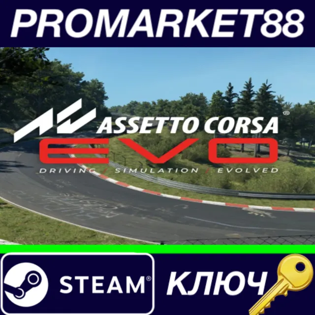 ⭐ Assetto Corsa EVO Steam КЛЮЧ 🔑 GLOBAL