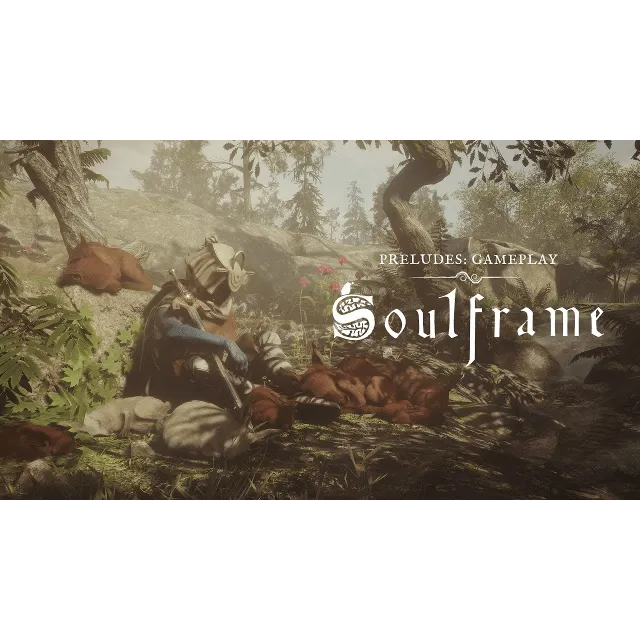 Ключ для закрытого бета-теста Soulframe (официальный са