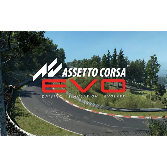 Assetto Corsa EVO (steam key)