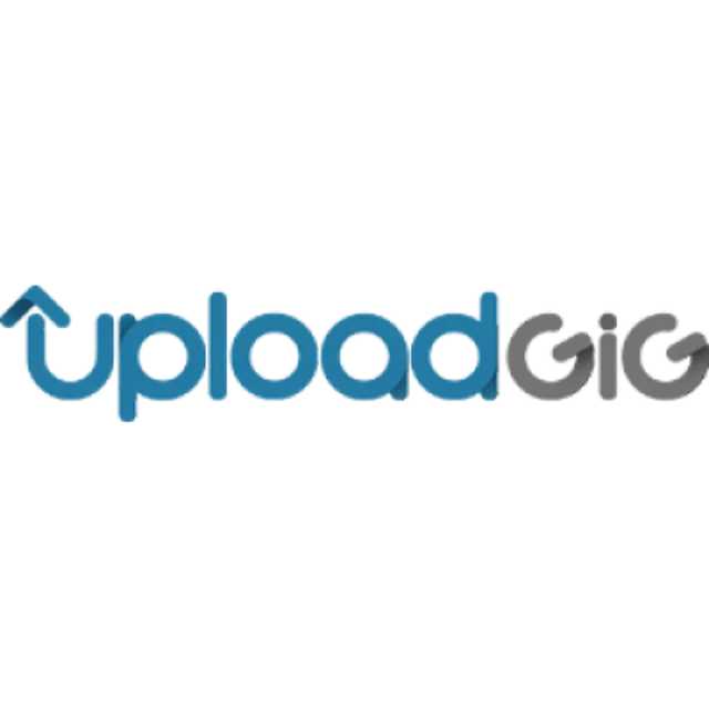 Купить премиум-аккаунт Uploadgig на 1 год