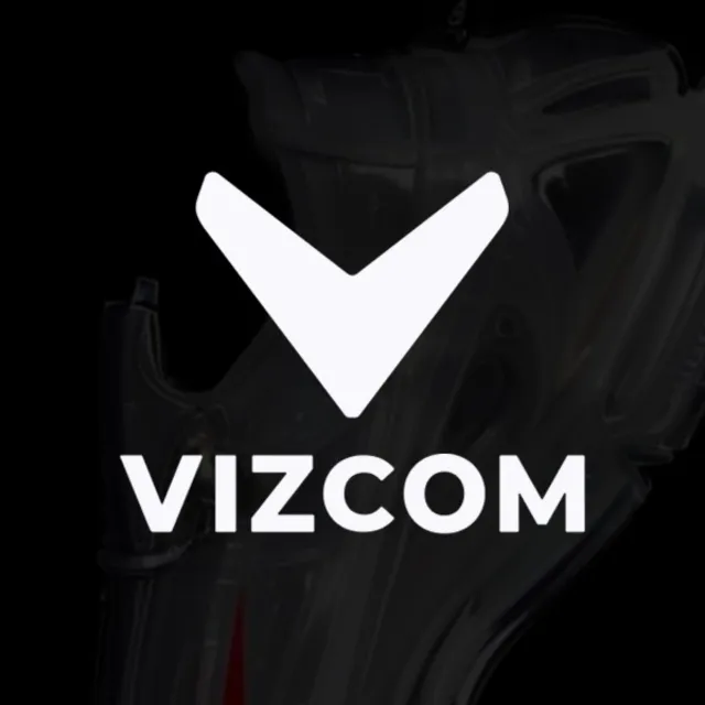 Vizcom AI - Professional (1 - 12 месяцев)