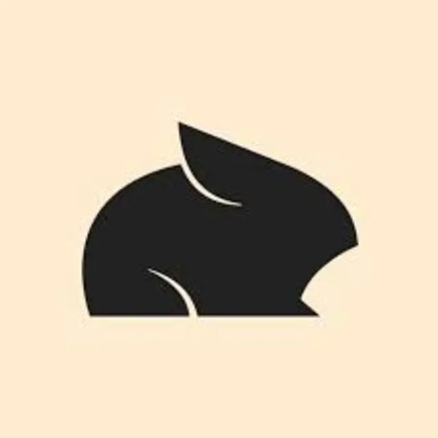 Подписка на аккаунт Pika Pro на 1 месяц
