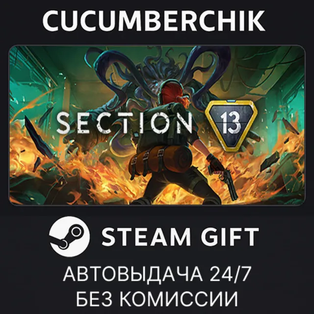 Section 13✅STEAM GIFT AUTO✅RU+МИР