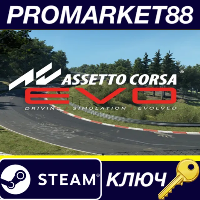 ⭐ Assetto Corsa EVO Steam КЛЮЧ 🔑 США