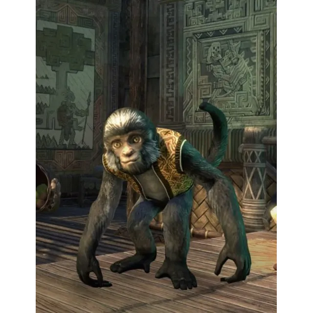 The Elder Scrolls Online 🌌КЛЮЧ🌌Обезьяна питомец