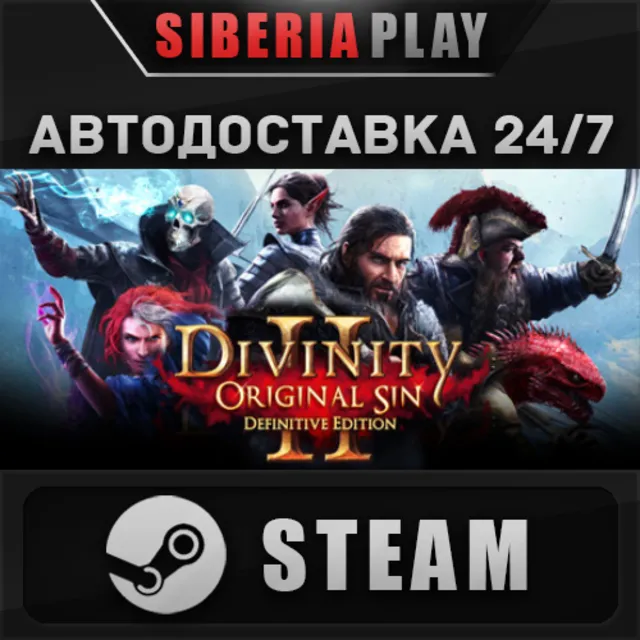 Divinity: Original Sin 2 STEAM АВТО RU/UA/KZ/СНГ