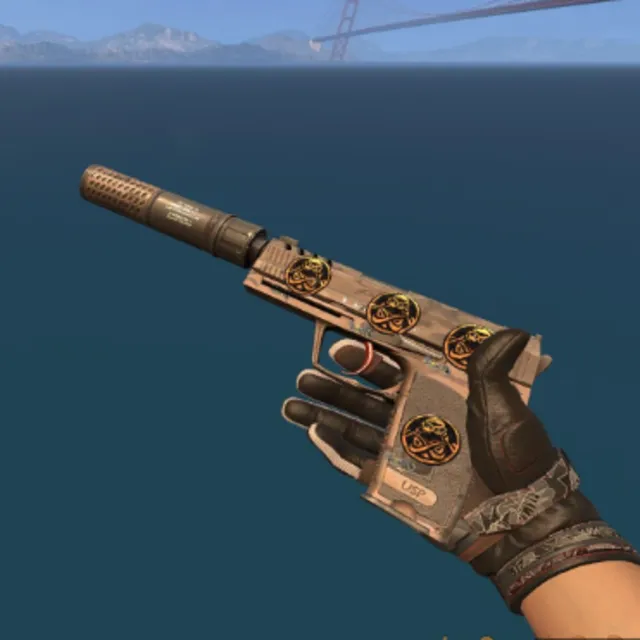 USP-S | Desert Tactical С 4 СЛУЧАЙНЫМИ НАКЛЕЙКАМИ