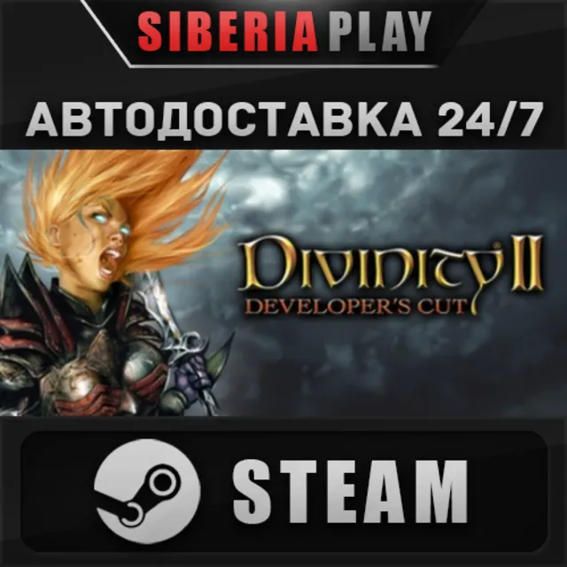 Divinity II Developer's Cut STEAM АВТО RU/UA/KZ/СНГ