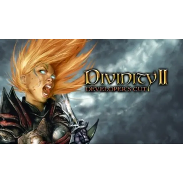 Divinity II: Developer's Cut STEAM GIFT ВСЕ СТРАНЫ