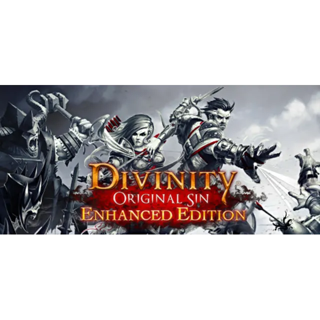 Divinity: Original Sin - Enhanced Edition Россия + Снг