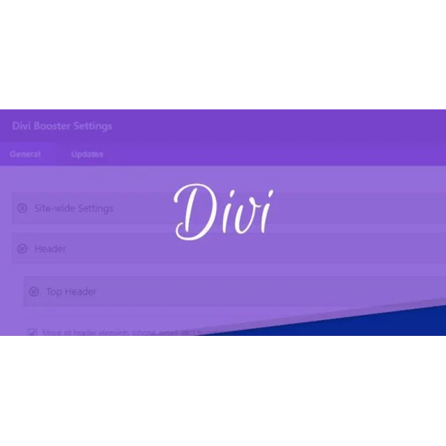 DIVI BOOSTER - оптимизатор DIVI BUILDER для WORDPRESS