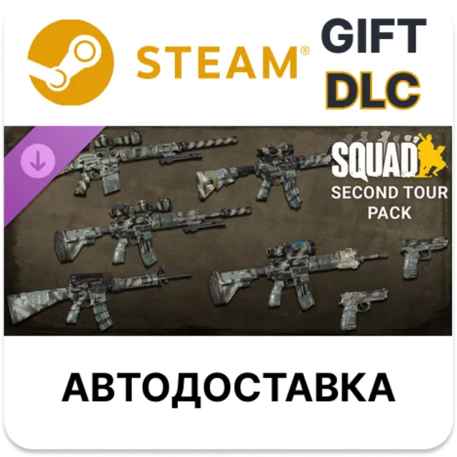 Squad Weapon Skins - Second Tour Pack Steam DLC