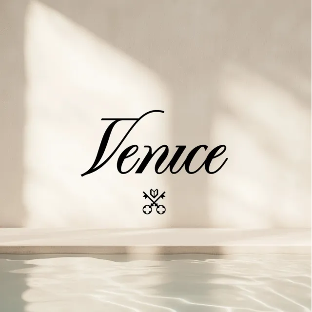 Venice AI - Pro/Pro+/Max  - 1 - 12 месяцев