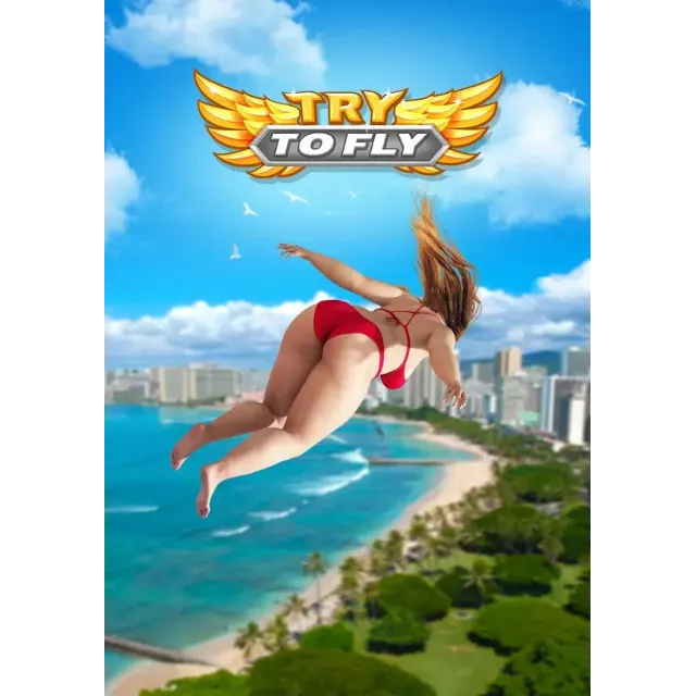 Try to Fly КЛЮЧ🔑 STEAM ВСЕ СТРАНЫ