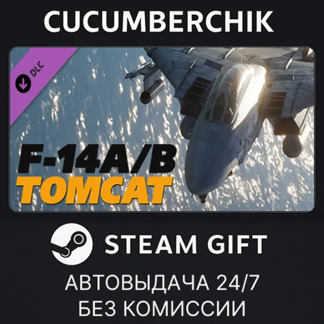 DCS: F-14 by Heatblur Simulations✅STEAM GIFT AUTO✅RU+МИР
