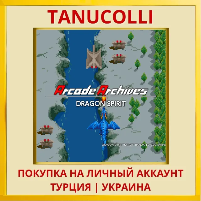 Arcade Archives DRAGON SPIRIT PS4/PS5/PS Турция/Украина
