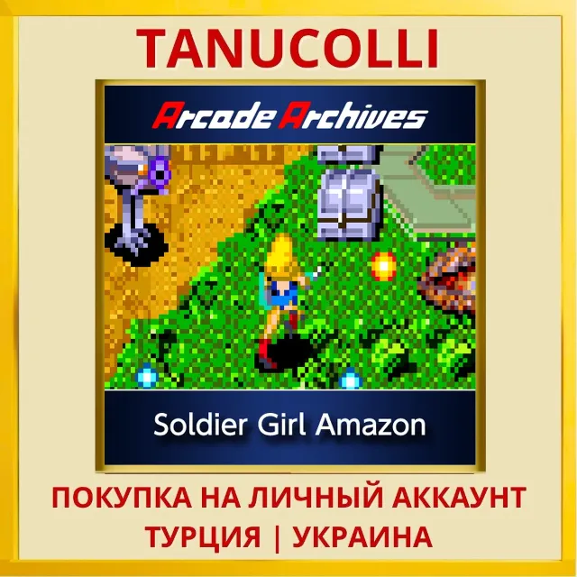 Arcade Archives Soldier Gi... PS4/PS5/PS Турция/Украина