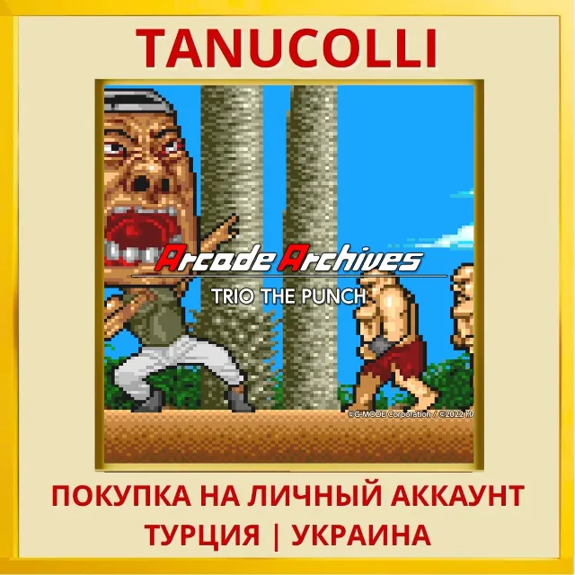 Arcade Archives TRIO THE P... PS4/PS5/PS Турция/Украина