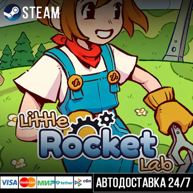 Little Rocket Lab СТИМ Steam Gift