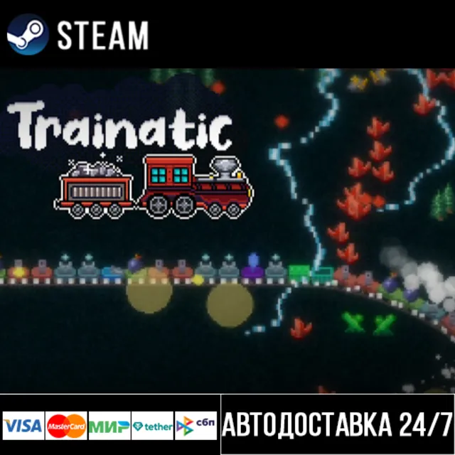 Trainatic СТИМ Steam Gift