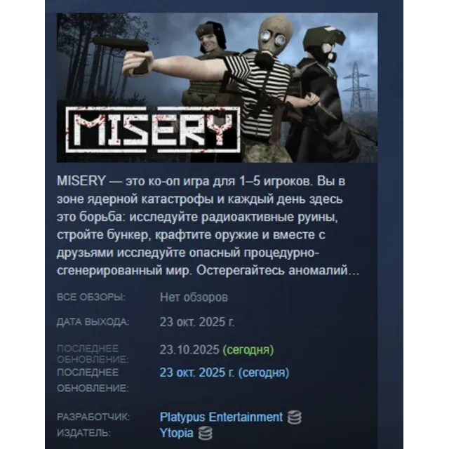 MISERY АВТОДОСТАВКА STEAM GLOBAL МГНОВЕННО ЛИЦЕНЗИЯ