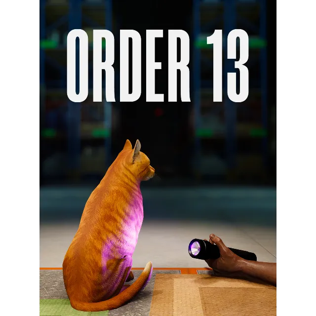 ORDER 13 Steam ключ Весь Мир Global RU/CIS РФ Россия key код cтим СНГ Глобал