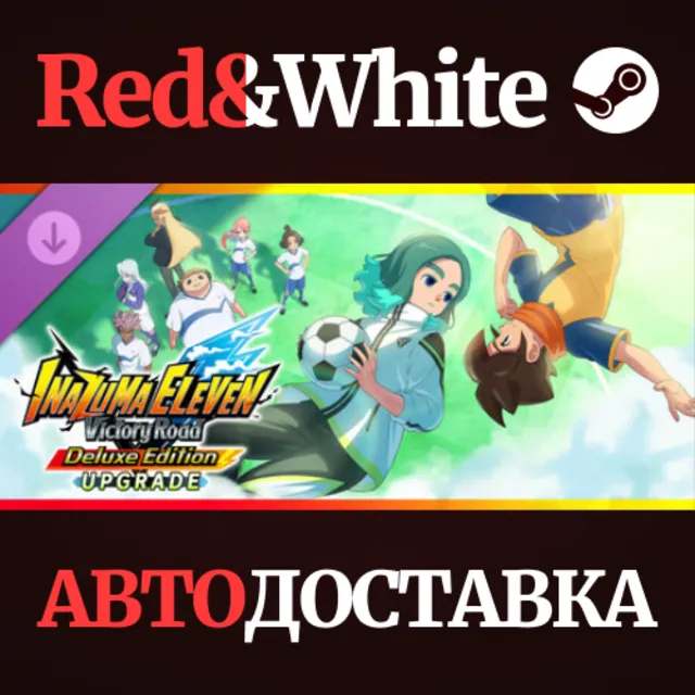 INAZUMA ELEVEN: Victory Road - Улучшение издания (Delux
